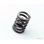 Molla frizione 850/1000 93.306 Molle frizione2,00 € 2,00 €