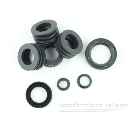 Kit paraolio motore Stornello 125 turismo 4 marce 55.788 Kit paraoli motore / forcelle / freni13,20 € 9,00 €