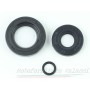 Kit paraolio motore Trotter 40cc. I serie 1966 55.791 Kit paraoli motore / forcelle / freni5,00 € 5,00 €
