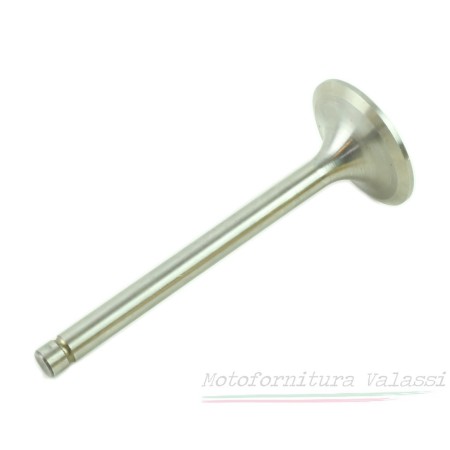 Valvola aspirazione V700 95.016 - 12036000 Valvole23,00 € 23,00 €