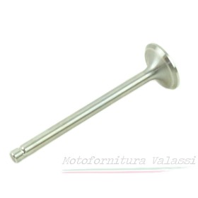 Valvola scarico Stornello 5 Marce 95.013 - 53036100 Valvole27,00 € 27,00 €