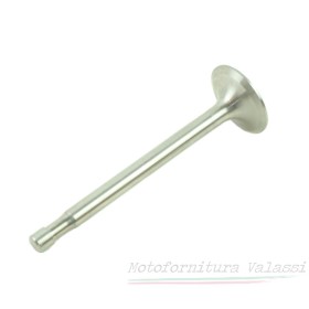 Valvola aspirazione Galletto 192 avv. elettrico 95.002 - 42005 - 38036025 Valvole23,00 € 23,00 €