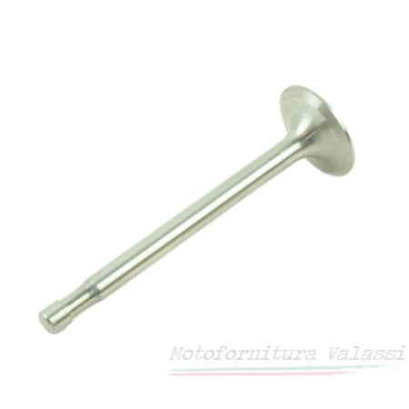 Valvola aspirazione Galletto 192 avv. elettrico 95.002 - 42005 - 38036025 Valvole23,00 € 23,00 €