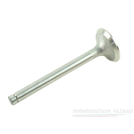 Valvola scarico Nuovo Falcone 10036100 Valvole27,00 € 27,00 €