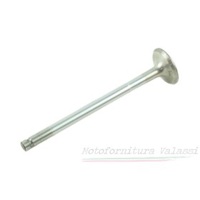 Valvola scarico V35 / V50 - 1978 - 19036100 Valvole26,00 € 26,00 €
