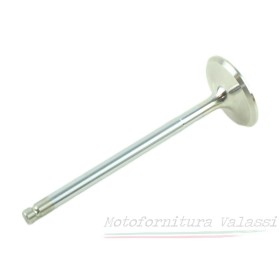 Valvola scarico 350/500/650 19036010 - 19036182 - 19036183 95.026 - 19036010 -19036021 Valvole26,50 € 26,50 €