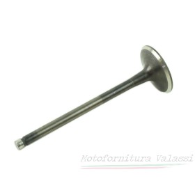 Valvola aspirazione V65 Lario 27036080 - 27036081 Valvole30,00 € 30,00 €