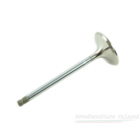 Valvola aspirazione 350/500/650 19036080/81/82 95.029 - 19036080/81/82 Valvole22,00 € 22,00 €