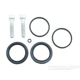 Kit revisione guarnizioni pinza 09 - Posteriore 1000 SP