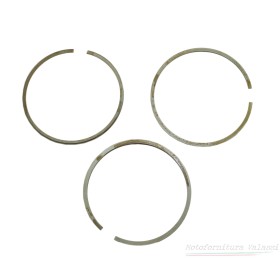 Serie fasce elastiche "Gandini" pistone 1000SP Ø 88.6 cilindro in ghisa