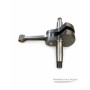 Albero motore Airone 250