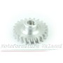Ingranaggio dinamo Ercole 12V 49.502 - 25703103 Parti dinamo e magnete59,00 € 59,00 €