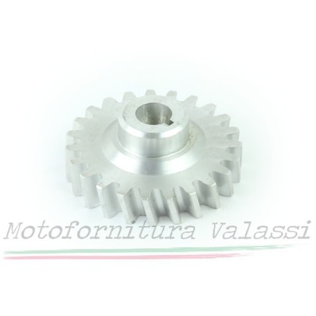 Ingranaggio dinamo Ercole 12V 49.502 - 25703103 Parti dinamo e magnete59,00 € 59,00 €